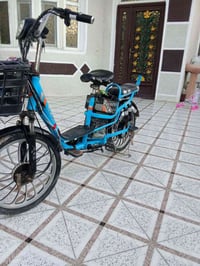 بايسكل شحن • حجم 20 • بطاريات 4