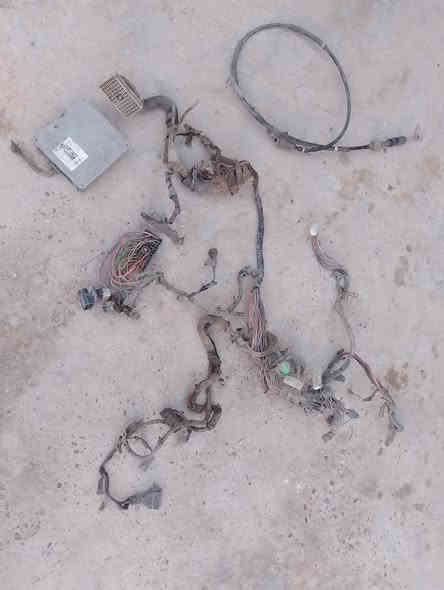 سلام عليكم حياكم الله شباب الجميع 
(1) عندي ضفيره وعقل كورلا كامله حد لقاعدة الفيوزات 
(2) قمجي كير عندي اوتو شغال تجي تفحصه كدامي 
للتواصل والاتصال *********** حياكم الله الشرايه
