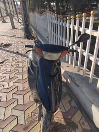 عصفورية • ٦٠ • مراوس