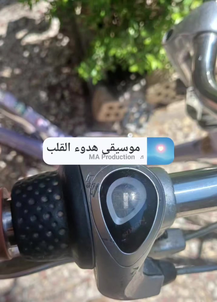 برجسون حجم ٢٦ بناتي
تاير ضد البنجر جوب جديد

كير ثلاث نمر 

لون زاهي 

بالة ياباني تكمة السعر ١٢٥ وبيه مجال 

مكانه ابو دشير


**إذا كنت صاحب هذا الإعلان وتريد حذفه لأي سبب، رجاءا أرسل رسالة إلى الدعم الفني**