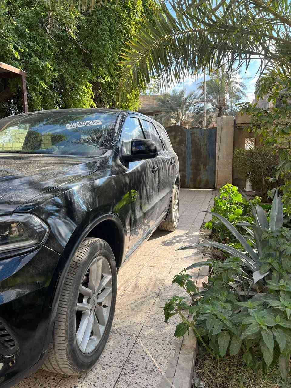 دورنكو gt مديل 2024 وارد امريكي بعده ما مرقمه ابيعه على وضعه
السياره ماشيه 35 الف ميل حادثه بجم البنيد والجاملغ الايسر مبدلات والايمن مرجع بارد 
براكيت معوج ومرجع بدون لغود محرك جديد ما واصله الحادث ولا متحرك من مكانه السياره عليه اكزوزات رياضي جاماته الوره تضليل السياره فول ما عدى الفتحه
السياره شغاله وما بيه اي مشكله تقص حساس abs
 ومانع انزلاق وبصمه مو مالته خالين مال مديل اقدم الايرباكات كله طاكه واضحه بالصور والفديو 
سعره 250 وبيه مجال
التعجبه السياره يخابرني ونتفق على سعر مكان السياره ميسان 
***********
