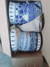 فرفورية • درجة أولى • الحلة