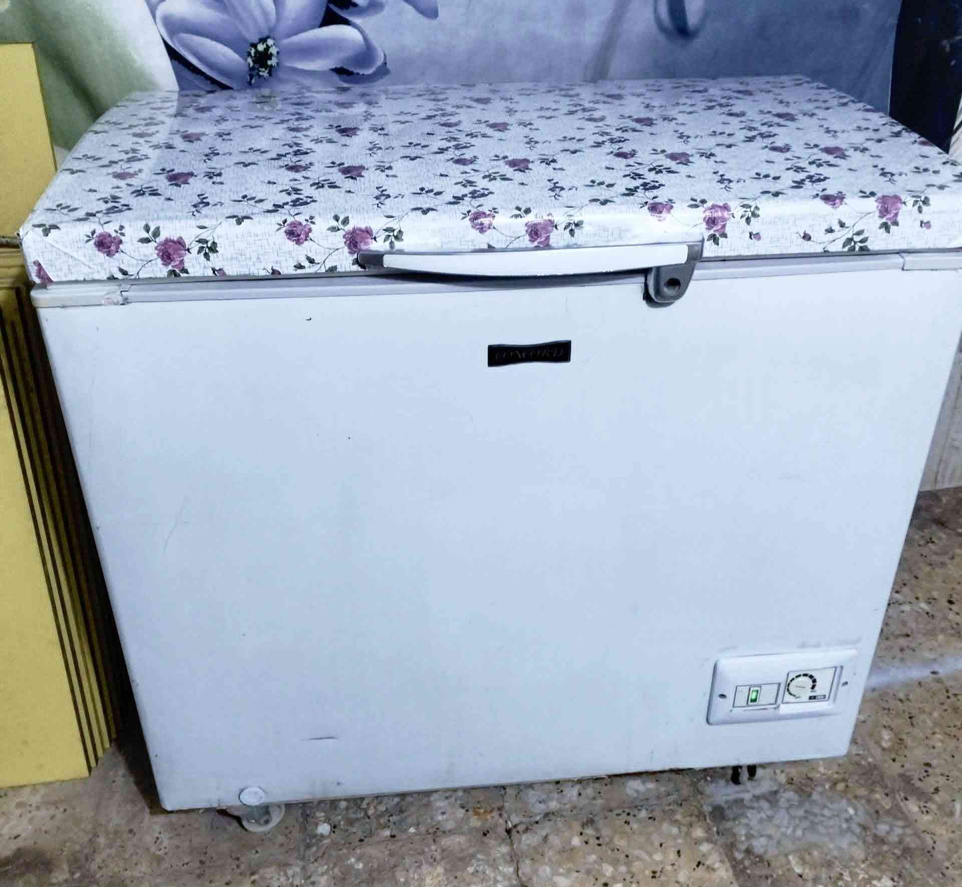 وين الي يدور سلعة اصلية ومال عمر 
مجمدات كونكورد لبناني الاصلي ماطور بانسونك ماليزي 
باب اول افضل شركة واغلى شي حاليا بالسوك مع الضمان
مكاني ناصرية مركز *********** مراسلة واتساب
