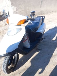 سبيسي ياباني • نضية • مكفولة