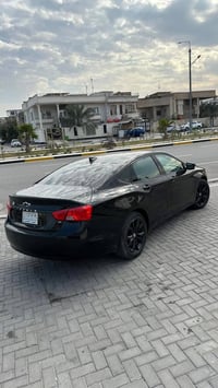 امبالا • ٢٠١٩ • البصرة