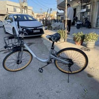 باسكيل • خانقين توله فروش