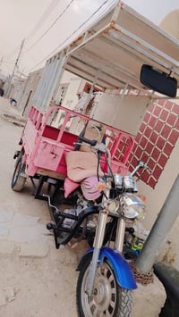 ستوته • رقم ابيض • شاصي مكفول