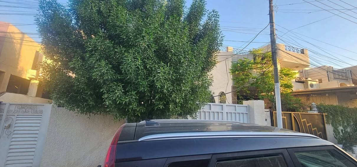 اعلان ●○● للبيع 

بيت مساحه 《٢٠٠ متر》《  الواجه ١٠ متر》 النزال ٢٠ متر》
وحدتين سكنيه الواقع في حي الجهاد الخارجيه مربع البريد
الطابق الارضي الاول// يتكون من ٢ غرف نوم صحيات صاله ضيوف مطبخ كراج 
الطابق الثاني// يتكون من ٢ غرف نوم صحيات صاله ضيوف وسطح وكراج 

للاستفسار مراسلة الصفحة او الاتصال

على الارقام واتساب

☎️ ***********

☎️***********

زورو موقعنا ((مــكتــب بــاب الحــارة)) في حي الجهاد مقابل ((جامـــع النــور))ومجاور(( شارع التكية)) يوجد كافة العروضات وكافة المساحات للـــدور والاراضـــي
بإدارة { السيد ابو أنس}🇮🇶🇮🇶
