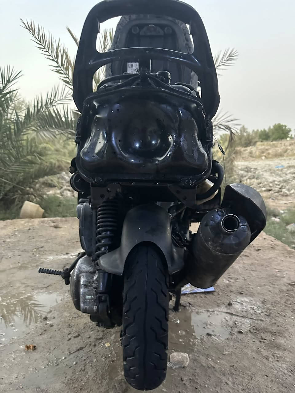 سلام عليكم فراشه فحل للبيع تزويد كلاجات كطعه ناريه وتركته
مكاني بصره ابو الخصيب العوجه


**إذا كنت صاحب هذا الإعلان وتريد حذفه لأي سبب، رجاءا أرسل رسالة إلى الدعم الفني**