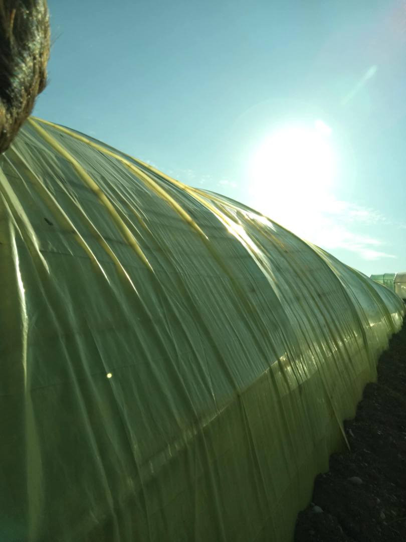 سێ کۆخی دەرە جە یێک بۆ فرۆشتن
2ملیم 
لایلۆن نوێ
سۆندە نوێ
کولە نوێ 
شوێن دەوروبەری ئاکرێ
ژماری موبایل*********** دهوك, العراق
