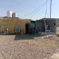 دجاج أبيض حي • دجاج أحمر حي • طازج يومياً