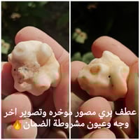 اغراض شخصية • للبيع • قابل تفاوض