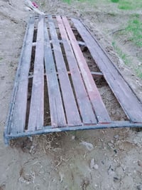 شبوط • سرير • الحله