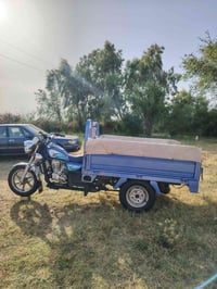ستوته • صقر جمره • ٢٠٢٣