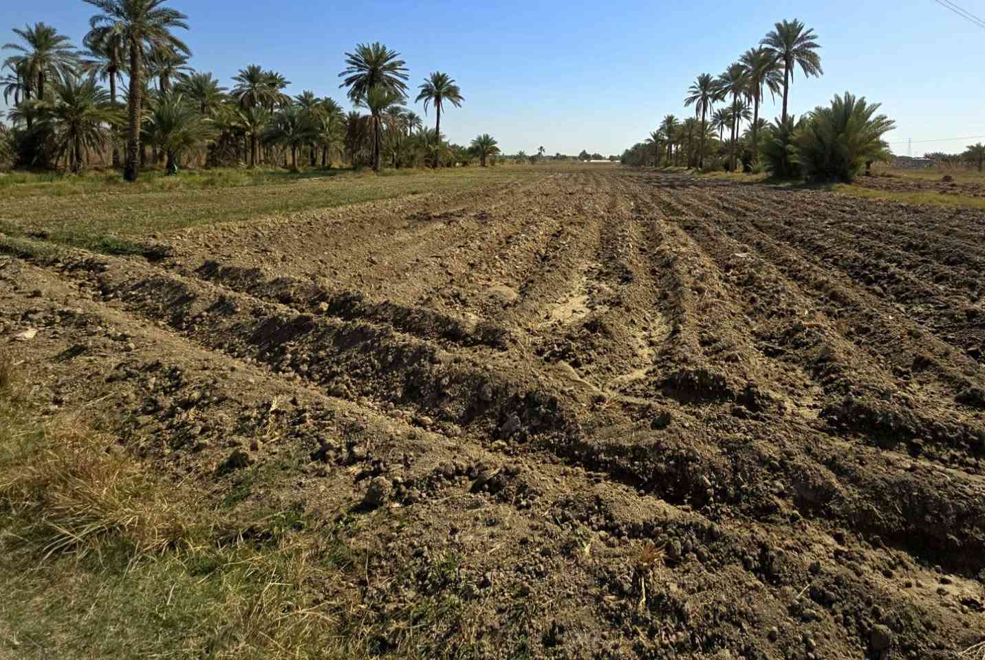 أرض زراعية 6 دونم طابو سند 25 باسم شخص واحد تحويل سعر الدونم 45 مليون قابل للتفاوض كربلاء ناحية الخيرات الموقع موضح بالصور *********** سقي سيح وكهرباء طوارئ
