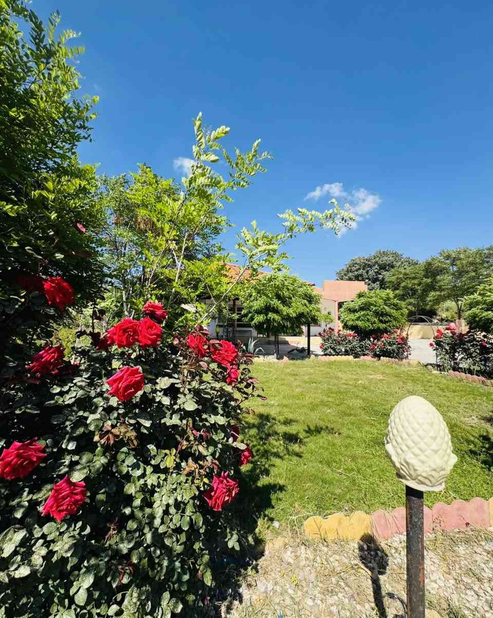 ‎مەزرەعە ناوازە بۆ فرۆشتن
‎‏‎‏‎ریگای مەسیف _هەنارە📍
‎‏‎‏‎رووبەری (3750) م 

‎بۆ زانینی نرخ ژمارە (9)لە کومنیت بنوسە💰

‎‏
مسبح تیدایە 
کەپر شوین دانشتن
‎‏‎‏‎شوينيكی  يەک جار خۆشی هەيە
‎بیری ئاوی هەیە
‎کامل ئەساسی مالی تیدایە
ژووری نوستن و هۆل و مەتبەخ و دیوەخان
‎‏‎‏‎حەدیقەی هەیە 
‎‏‎‏‎ + گراج سيارە🅿️

‎‏‎‏‎بو زانياری زياتر بيوەندي بكەن 
***********☎️
—————————————————————————
‎::::(✅ #_عەقارات_باغی_ئاژگە)::::::::

‎نامە مەنیرە بەڵکو کۆمێنت (تعلیق)بکەئۆتۆماتیک لەماوەی 3 چرکە دا  زانیارت  پێدەگات.
