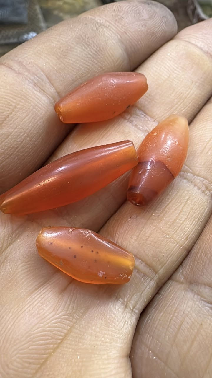 ✋✋😘😘


**إذا كنت صاحب هذا الإعلان وتريد حذفه لأي سبب، رجاءا أرسل رسالة إلى الدعم الفني**