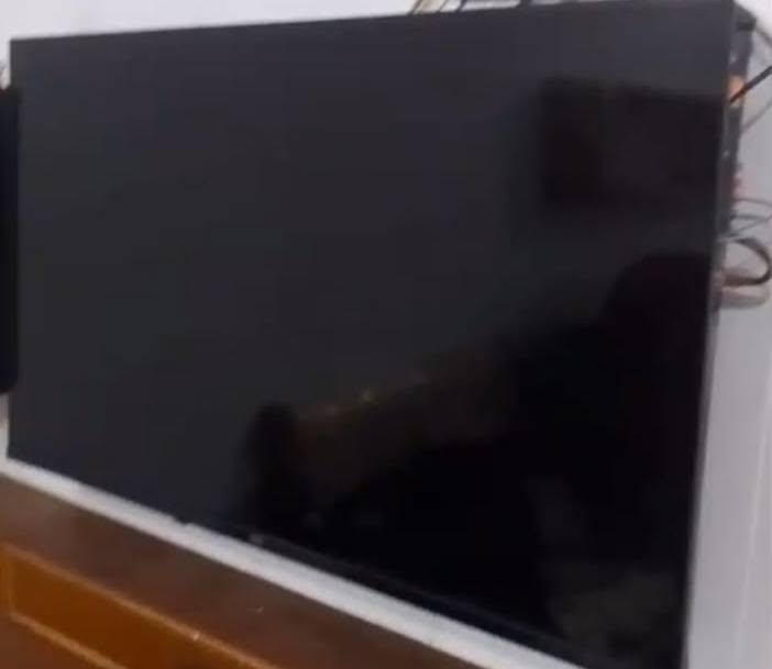 للبيع سعر مناسب
بلازمه فوكس حجمها 43
 تكنك انترنيت + يصير بيها
كرت اشتراك حديثه 2025


**إذا كنت صاحب هذا الإعلان وتريد حذفه لأي سبب، رجاءا أرسل رسالة إلى الدعم الفني**