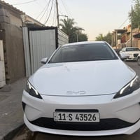 سيل ٢٠٢٥ • مشي ٤٠٠٠ • البصرة