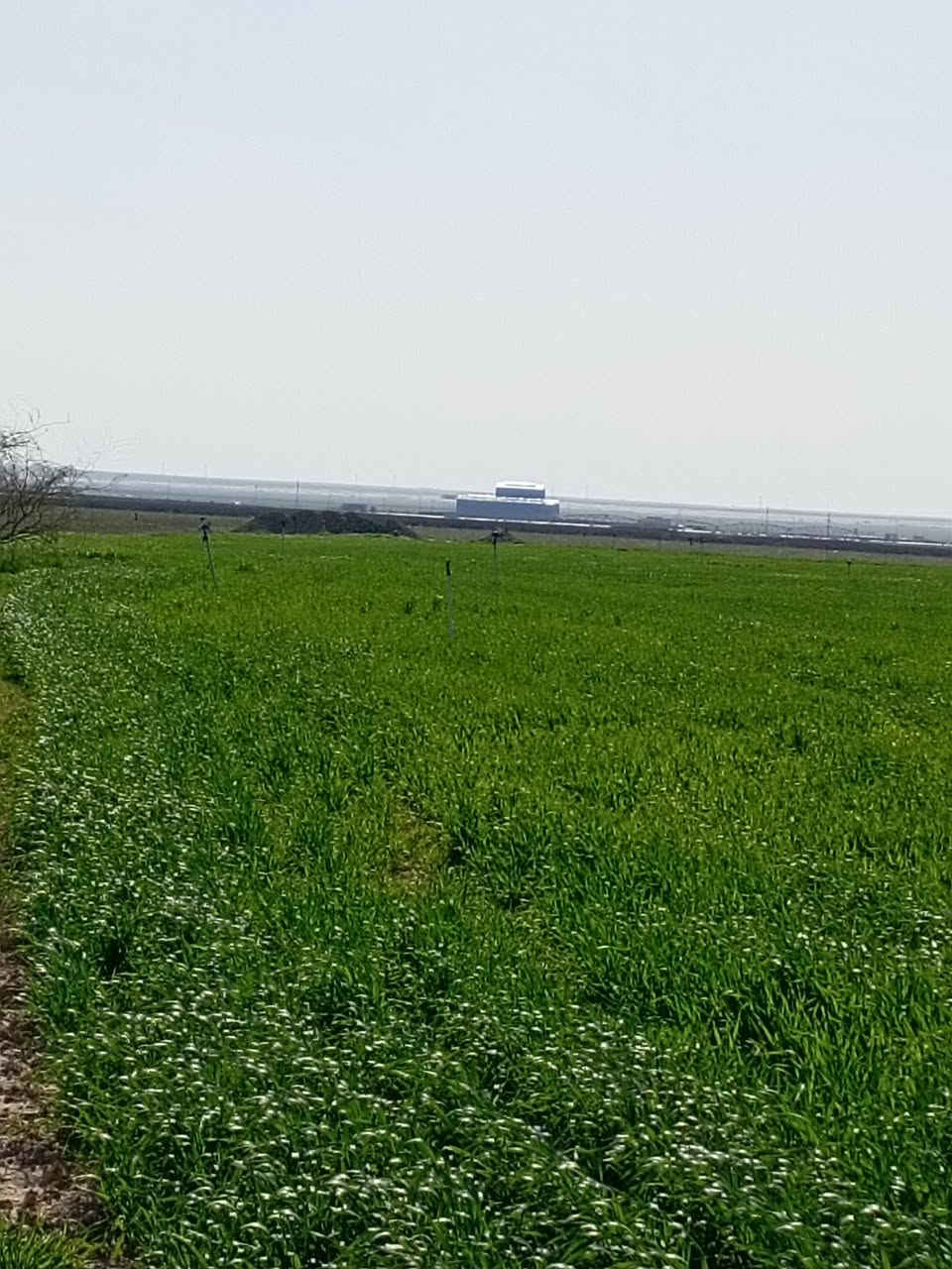 أرض زراعية٢٥ دونم الأسمدة قرب جسر الأسمدة يمين الشارع بتجاه الموصل من بيجي سعر الدونم مليون وبي مجال ***********
