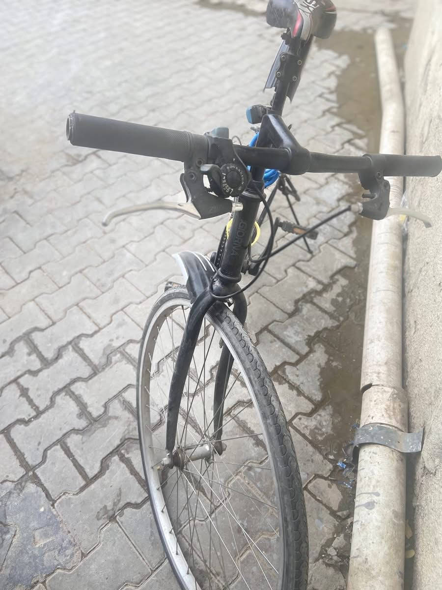 باسكل للبيع  مستعمل يومين وسعر 85


**إذا كنت صاحب هذا الإعلان وتريد حذفه لأي سبب، رجاءا أرسل رسالة إلى الدعم الفني**