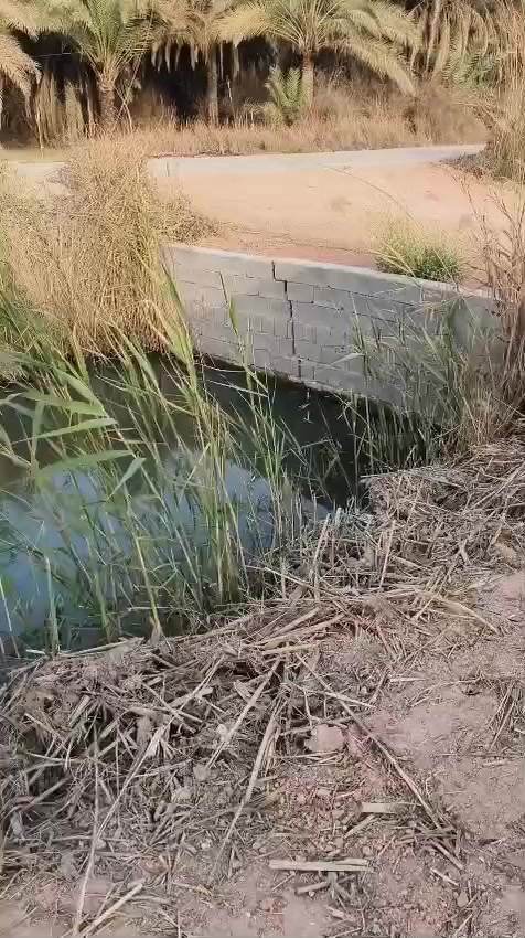 دونم مسيج للبيع سند طابو اعتراف مباشر من صاحب العقار كافه الخدمات الحسينية قصر مصطفى تفاصيل بالفيديو سعر ٣٠٠مع المجال ***********
