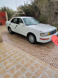 بطه ١٩٩٢ • محرك شرط • رقم صلاح الدين
