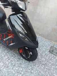 دراجة فراشة • ثعلب • أبو الخصيب