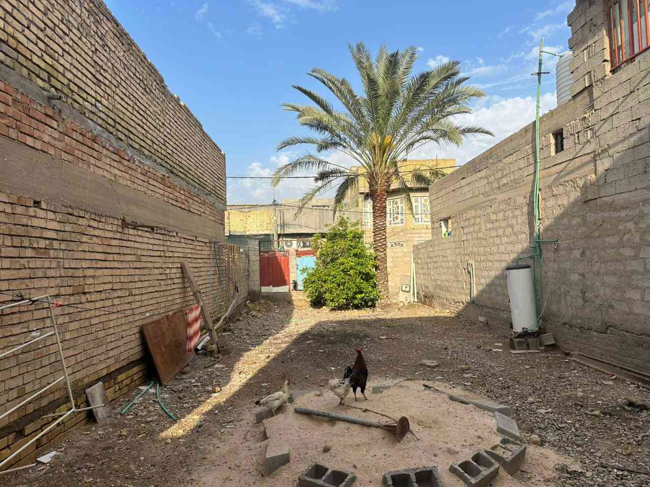 قطعة للبيع (١٤٠ م)/النعمانية / حي الشهداء
باقي التفاصيل موضحة بالفيديو
      للاستفسار /***********
