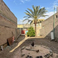 النعمانية • حي الشهداء • ١٤٠م