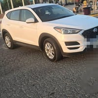 توسان • ٢٠١٩ • أربيل
