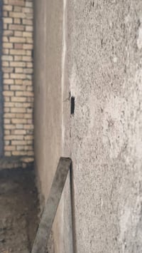 كادر لبخ • متفرغ • السماوه