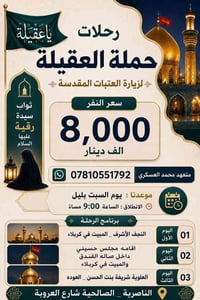 زيارة سيدة رقيه • النجف كربلاء • الناصرية شارع العروبة