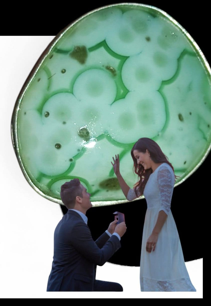 بسم الله
المحبه والمهابه 
مفول سليماني لون نادر 
شرط مامجروخ 
٣٥ الف مع توصيل 
***********واتساب
