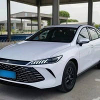 قوين بلاس • ٢٠٢٥ • سليمانية