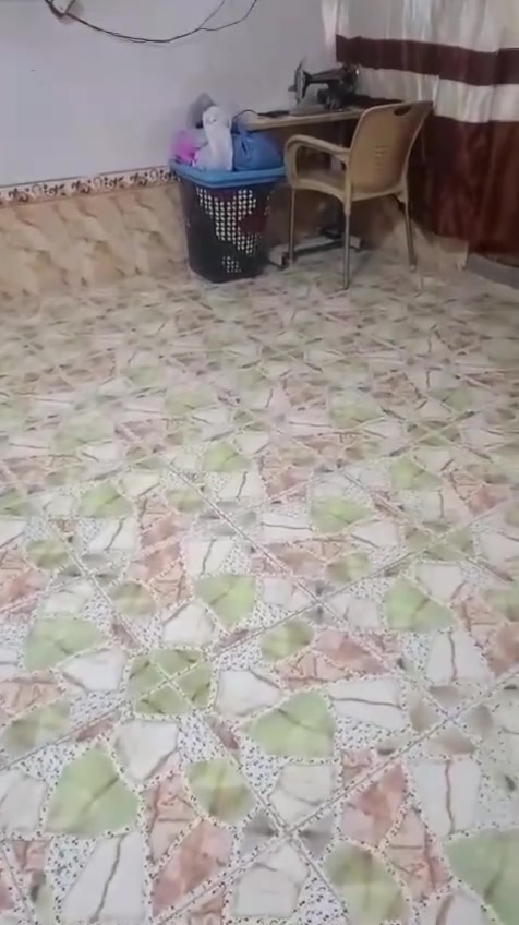 بيت ١٢٠متر بالميلاد خلف مجمع جوهرة العرب  السعر ٥٨ مليون ***********
