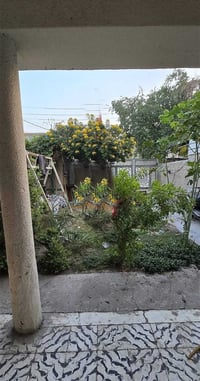 ملك صرف • ٢٢٧م • بغداد الأمين الثانية