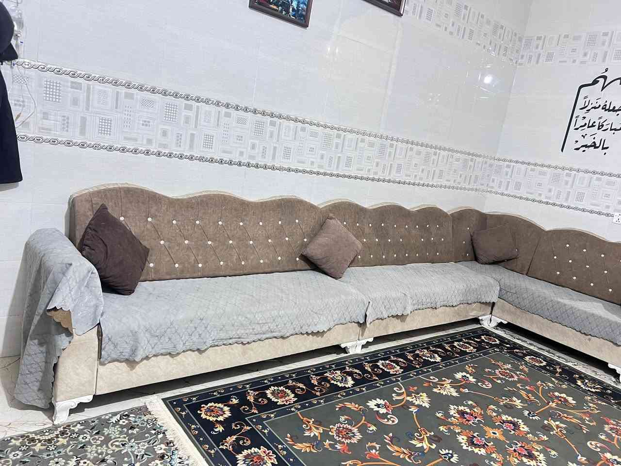 تخم ديوان للبيع


**إذا كنت صاحب هذا الإعلان وتريد حذفه لأي سبب، رجاءا أرسل رسالة إلى الدعم الفني**