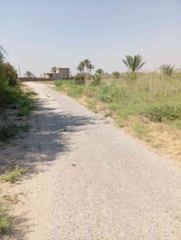 دونم زراعي • ارض زراعية • ارض البوخليفة • دونم البوخليفة • اراضي زراعي...