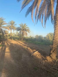 5 دونم واقع حال اكثر من 6 دونم  العنوان بغداد الراشديه حي المهندسين  5...