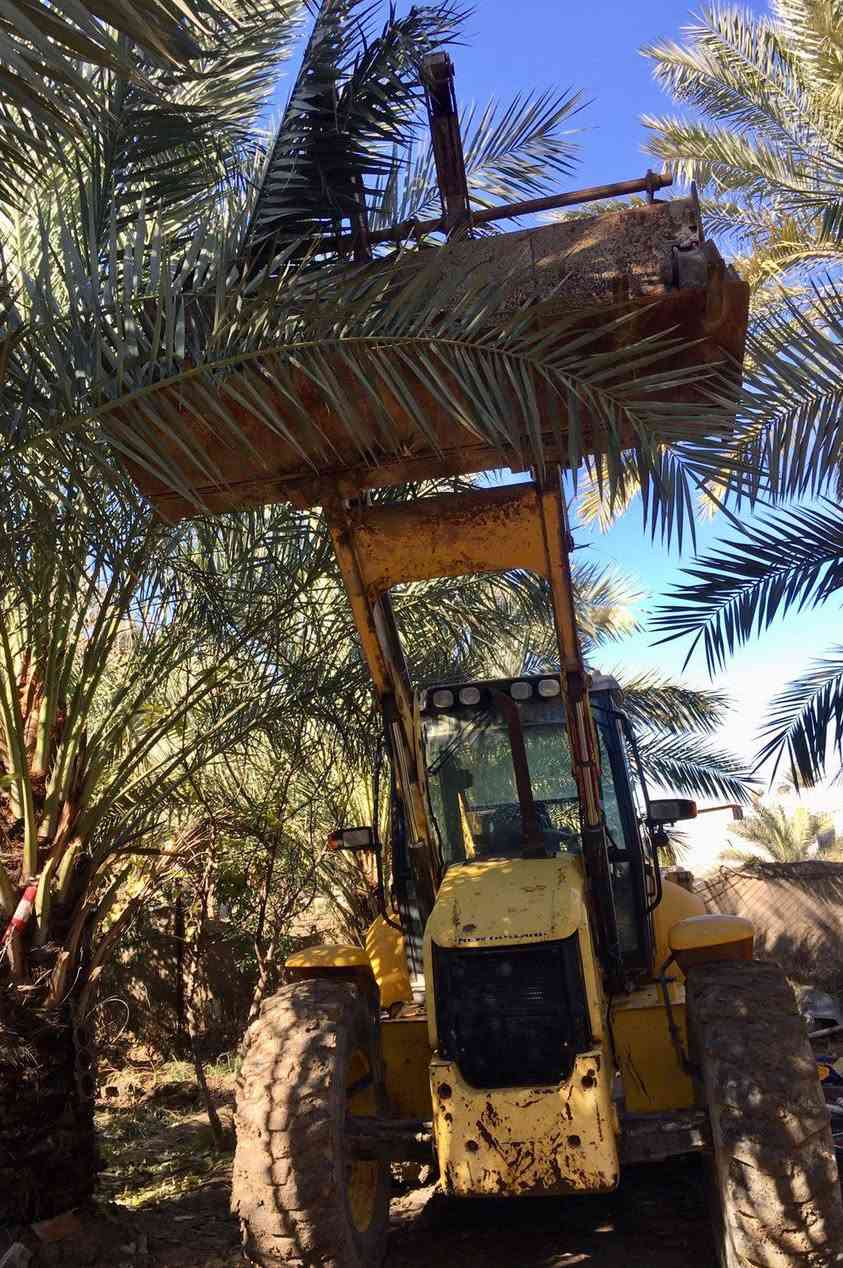 صلوا على رسول الله
الوحش للبيع 

انظف نيوهولند بالعراق موديل ٢٠١٧ مشتغله اقل من ٨٠٠٠ ساعه 

بلاديه من الكيله للكيله 

تدفئه تبريد بلادي 

محرك كير مضخه اكسلات كونترولات شركه 

كهربائيات كلهه شغاله 

مكانها بابل سعرهه اربعه ونص وبيهه مجال او مراوس بشي اقل 

***********
