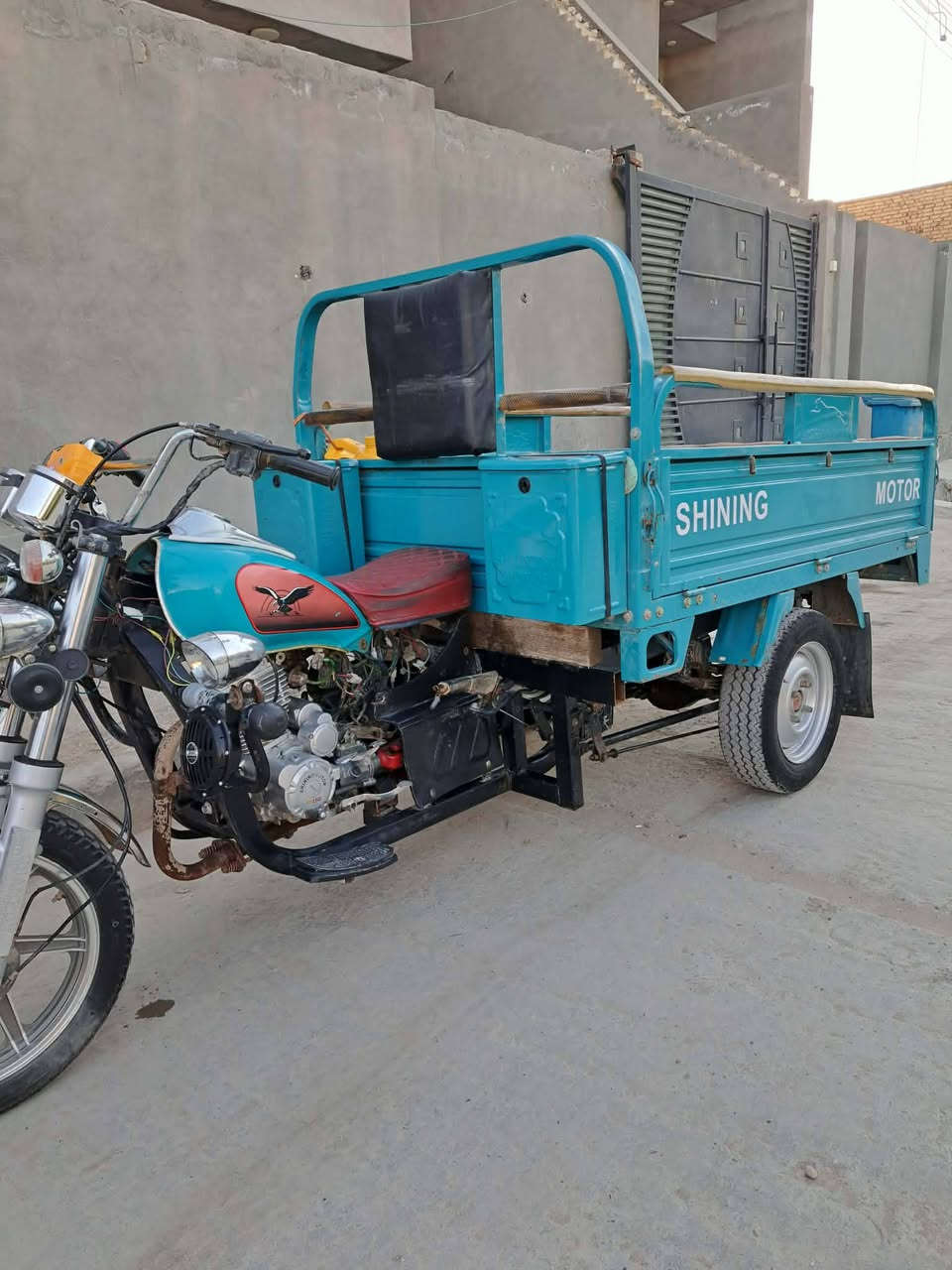 ستوته 2023 مكفوله
***********
