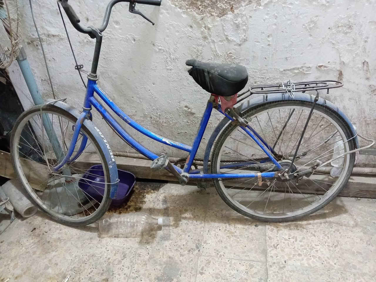 باسيكل بناتي ازرك للبيع بي عطل بسيط بي التاير الوره يرادله تعديل لمن ينساق بي يميل ويرادله غسل لان تاركه سعره 30الف مكاني كريعات قرب جسر العبره تريده واتس اب ***********
