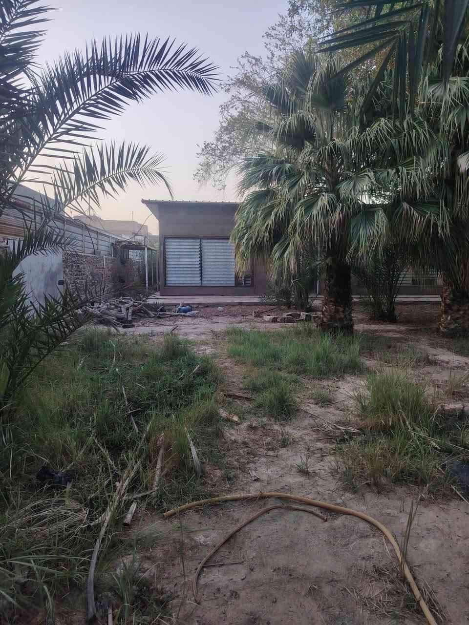 اكرر النشر بسبب الوعود الكاذبه مزرعه للبيع مسيجه حجر ومرتبه ومكان راقي كلش مساحته ١٣٣٥ متر منطقه هدوء وكافة الخدمات قريبه تبعد عن الشارع ٥٠ متر طابو ٢٥ مدوار بسمك بيه بيت صغير مرتب وبيه اشجار . العنوان الكوفه البراكيه شارع المطار القديم الاستفسار اكثر اتصل وتدلال  *********** @ ***********
