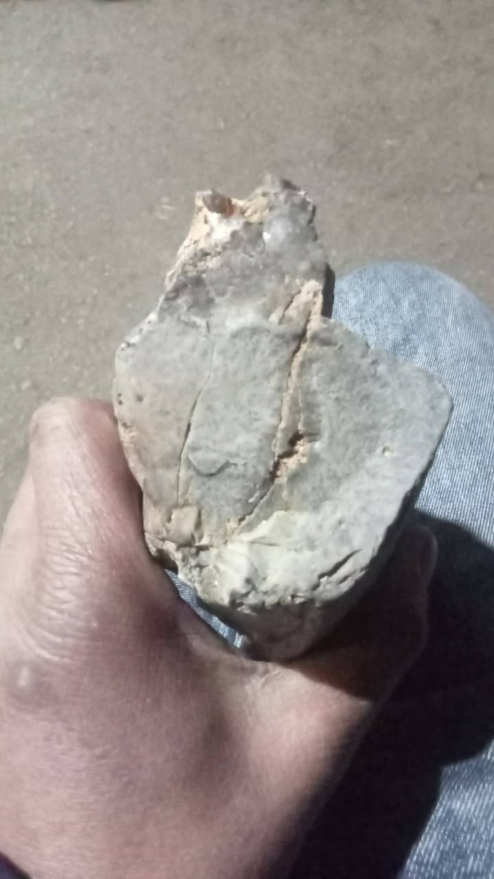 خشب حجري  عمره ملايين السنين


**إذا كنت صاحب هذا الإعلان وتريد حذفه لأي سبب، رجاءا أرسل رسالة إلى الدعم الفني**