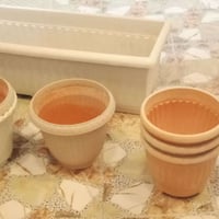 سنادين دائرية • زوجين • رخصة الادمن