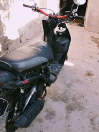 سكنس جبلي • بغداد