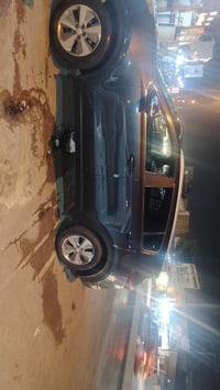 سبورتج • ٢٠١٩ • وارد امريكي