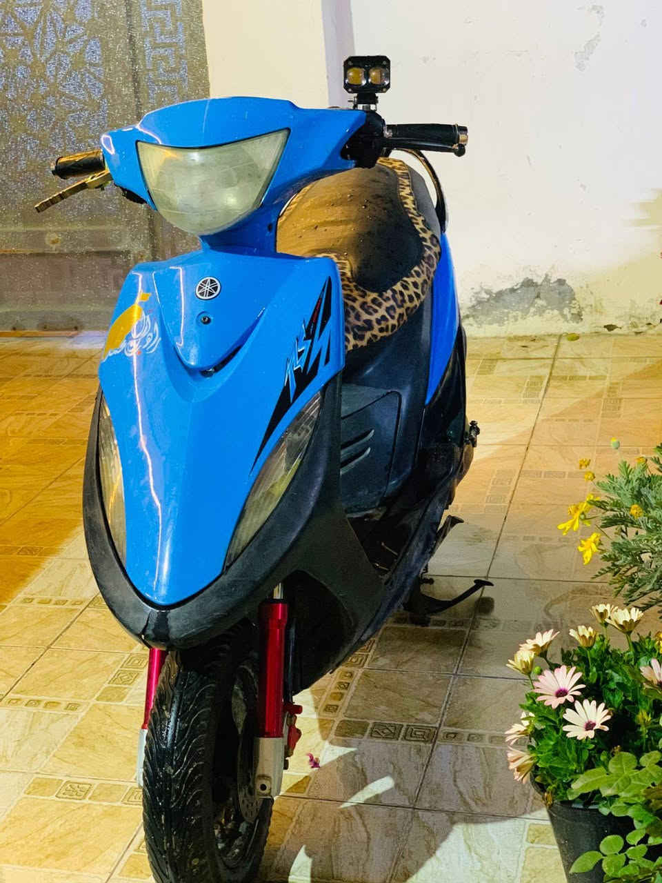 ماكس عدله 
شلعه ومعدل 
السعر/425وبيها مجال 
حله مركز 
***********
