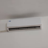 سبلت • جنرال ماكس • استعمال عامين